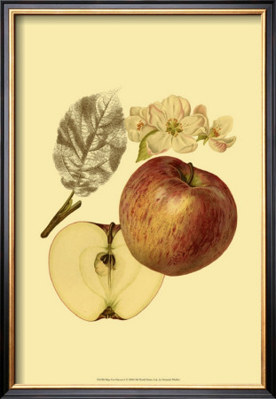 Ripe For Harvest I by Heinrich Pfeiffer Pricing Limited Edition Print image