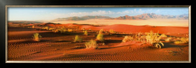 Namib Naukluft Park - Namibia by Lee Frost Pricing Limited Edition Print image