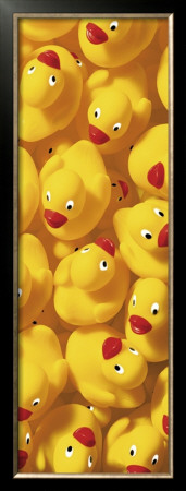 Quack, Quack Iii by Dave Brullmann Pricing Limited Edition Print image