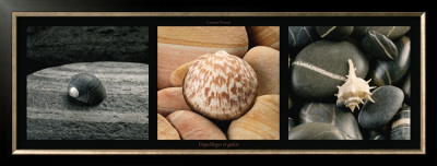 Coquillages Et Galets by Laurent Pinsard Pricing Limited Edition Print image
