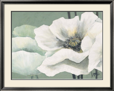 Poppy In Green Ii by Jettie Roseboom Pricing Limited Edition Print image