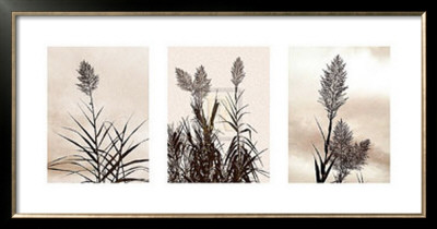 Grasslands by Jon Hart Gardey Pricing Limited Edition Print image
