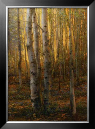 Into The Forest Ii by Jennie Tomao Pricing Limited Edition Print image