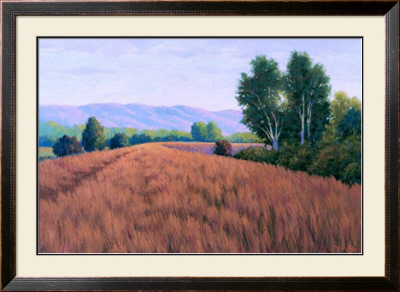 Sauvie Island Ii by Alan Stephenson Pricing Limited Edition Print image