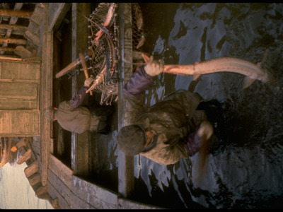 Clubbing Sturgeon Before Roe Is Removed From Live Fish, At Astrakhan Fish Complex Processing Plant by Carl Mydans Pricing Limited Edition Print image