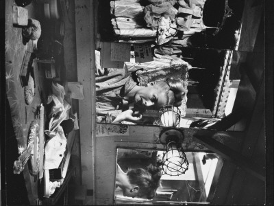 Showgirl Sitting At Mirror In Dressing Room At Copacabana Nightclub by Gjon Mili Pricing Limited Edition Print image