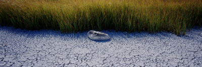 A Stone Lying On A Beach On An Island, Sweden by Mikael Andersson Pricing Limited Edition Print image