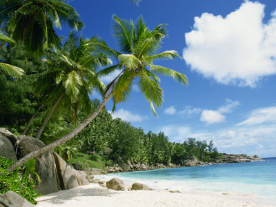 Anse Intedance, Mahe, Seychelles, Indian Ocean, Africa by Robert Harding Pricing Limited Edition Print image