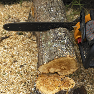 A Chainsaw Sawing A Log by Peo Quick Pricing Limited Edition Print image