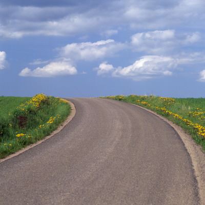 Road Running Through A Field by Ove Eriksson Pricing Limited Edition Print image