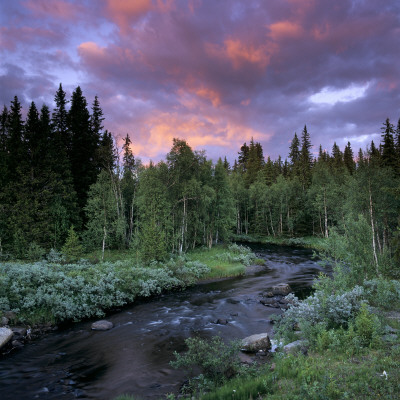 A River Running Through A Forest by Per-Erik Adamsson Pricing Limited Edition Print image