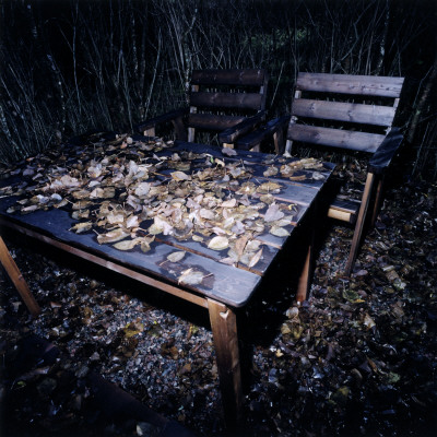 Fallen Leaves On A Table In The Garden by Lars Wallsten Pricing Limited Edition Print image