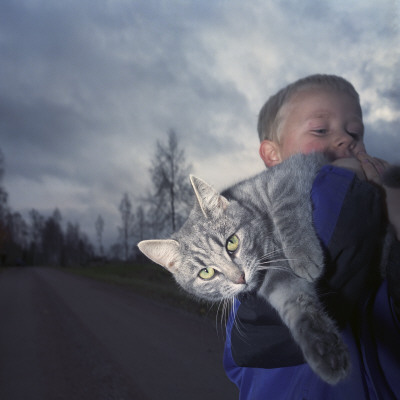 A Boy Carrying A Cat, Sweden by Mikael Andersson Pricing Limited Edition Print image