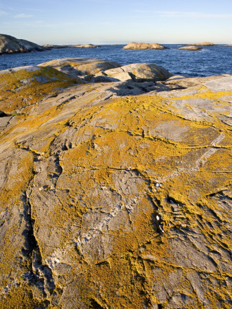 Cliffs By The Sea In Bohuslan, Sweden by Anders Ekholm Pricing Limited Edition Print image