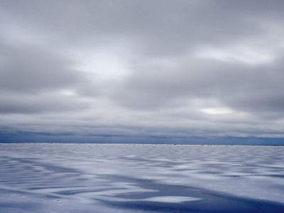 Beach Covered With Snow, Snaefellsnes, Iceland by Atli Mar Pricing Limited Edition Print image