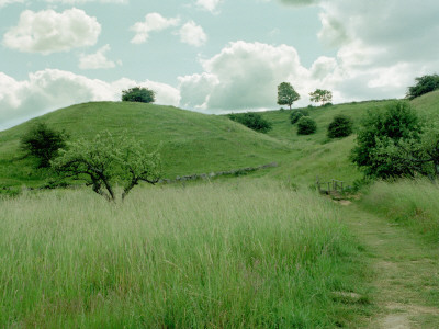 Hills In Osterland In Skane, Sweden by Ann Eriksson Pricing Limited Edition Print image