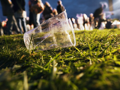 A Plastic Cup Lying In Grass by Gunnar Svanberg Skulasson Pricing Limited Edition Print image