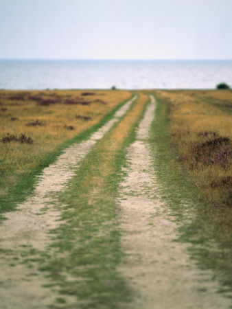 An Earth Road Leading To Sea, Skane, Sweden by Hans Wretling Pricing Limited Edition Print image