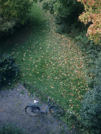 A Bicycle On A Footpath In A Park At Autumn by Lars Wallsten Pricing Limited Edition Print image