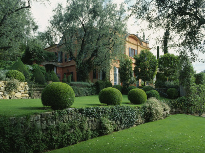 Olive Trees And Clipped Box With The Villa Behind, La Casella, France, Garden Designed By Scheinert by Clive Nichols Pricing Limited Edition Print image