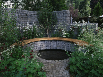 Chelsea Flower Show 2005, Urban Glade City Garden, Designer: Paula Ryan, Allium Gardens by Clive Nichols Pricing Limited Edition Print image