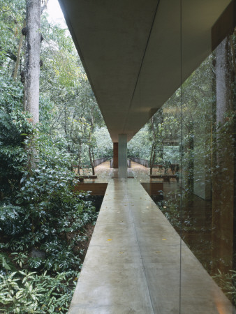 Casa Araras, Brazil, External Glass Wall, Architect: Marcio Kogan by Alan Weintraub Pricing Limited Edition Print image