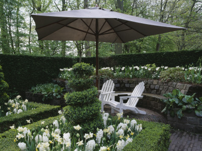 Keukenhof Gardens, Holland - Formal White Garden With Box Hedging And Topiary, Seats And Parasol by Clive Nichols Pricing Limited Edition Print image