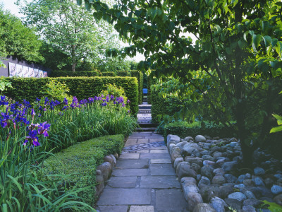 View Along Path To Blue Bench With Yew Hedges, Clipped Box, Rocks And Iris Sibirica by Clive Nichols Pricing Limited Edition Print image