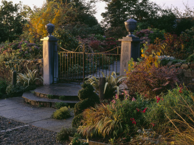 Dawn Light On Gates And Lead Urns, Autumn, Lakemount, Glanmire, Eire by Clive Nichols Pricing Limited Edition Print image
