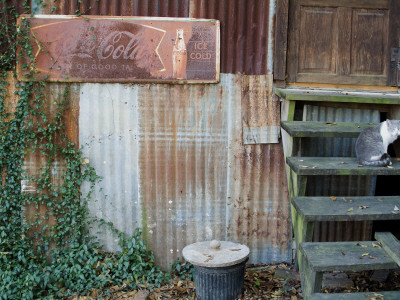 Bayou Cabin, Breaux Bridge, Louisiana by Natalie Tepper Pricing Limited Edition Print image