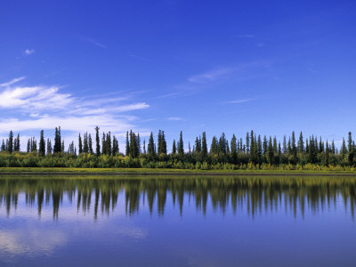 Tundra Lake, Northwest Territories, Canada by Michael Defreitas Pricing Limited Edition Print image