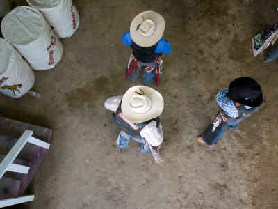 Threes, Rodeo, Santa Barbara by Eloise Patrick Pricing Limited Edition Print image