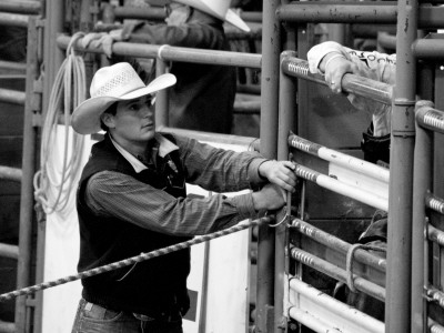 Gatekeeper, Santa Barbara Rodeo by Eloise Patrick Pricing Limited Edition Print image