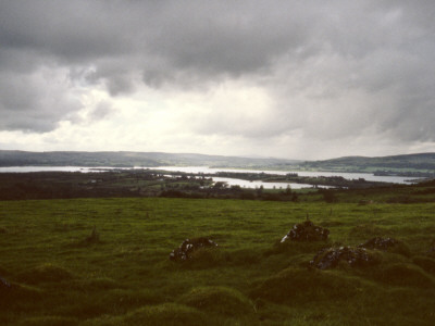 Field And Lake, County Roscommon by Eloise Patrick Pricing Limited Edition Print image