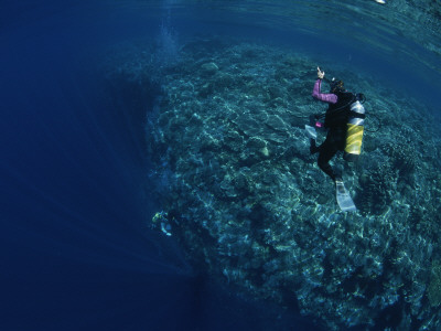 A Diver Descends A Coral Covered Wall Off Of Manado Tua by Tim Laman Pricing Limited Edition Print image