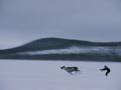 An Ethnic Sami Races A Reindeer Across The Snowy Tundra by Kenneth Garrett Pricing Limited Edition Print image