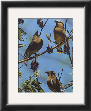 Beauty Of Nature Iii by Darryl Vlasak Pricing Limited Edition Print image