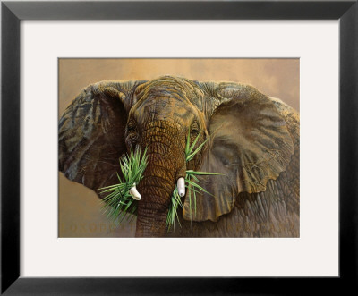 Tembo by Danielle Beck Pricing Limited Edition Print image
