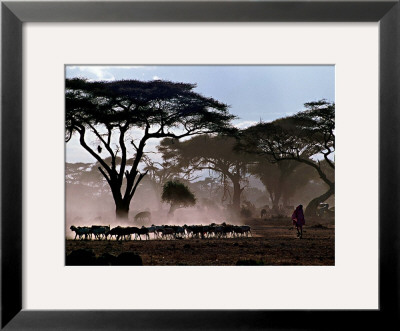 Amboseli, Kenya by Daniel Mottison Pricing Limited Edition Print image