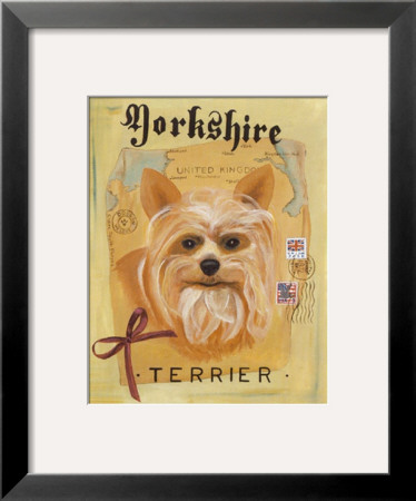 Yorkshire Terrier by Claire Pavlik Purgus Pricing Limited Edition Print image