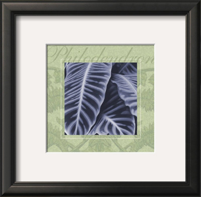 Philodendron by Dennis Dunton Pricing Limited Edition Print image