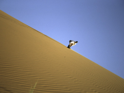 Snowboarding On Sanddunes, Morocco by Michael Brown Pricing Limited Edition Print image