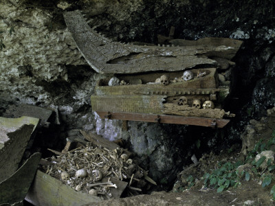 Skulls And Boat Remains, Indonesia by Michael Brown Pricing Limited Edition Print image