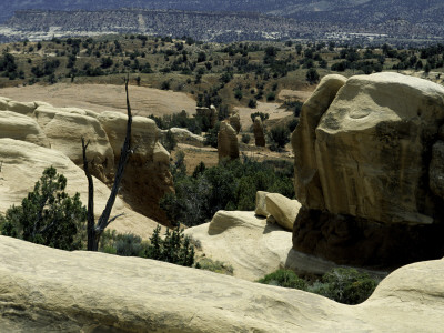 Yellow Rock Formations In The Desert, Usa by Michael Brown Pricing Limited Edition Print image