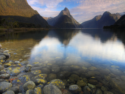 Mitre Peak Reflecting In Milford Sound, Fiordlands National Park, South Island, New Zealand by Adam Burton Pricing Limited Edition Print image