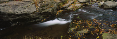 River In The Forest, Kaaterskill Falls, Catskill Mountains, New York State, Usa by Panoramic Images Pricing Limited Edition Print image