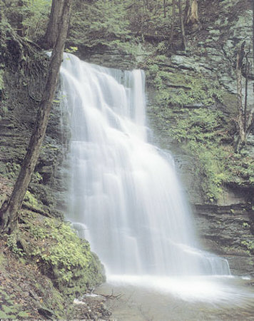 Bushkill Falls by Virgil Sigl Pricing Limited Edition Print image