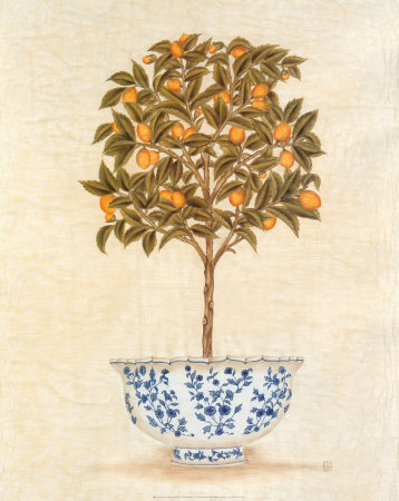 Kumquat Topiary by Iksel Pricing Limited Edition Print image