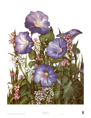 Morning Glories by Dru Bell Byers Pricing Limited Edition Print image