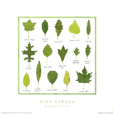 Green Leaves by Hiro Kawada Pricing Limited Edition Print image